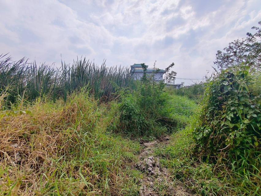 ขายด่วนที่ดินใกล้โรบินสัน ศรีสมาน 200 ตรว ติดถนน3ด้าน ซ.ศรีสมาน 5 บ้านใหม่ ปากเกร็ด 7