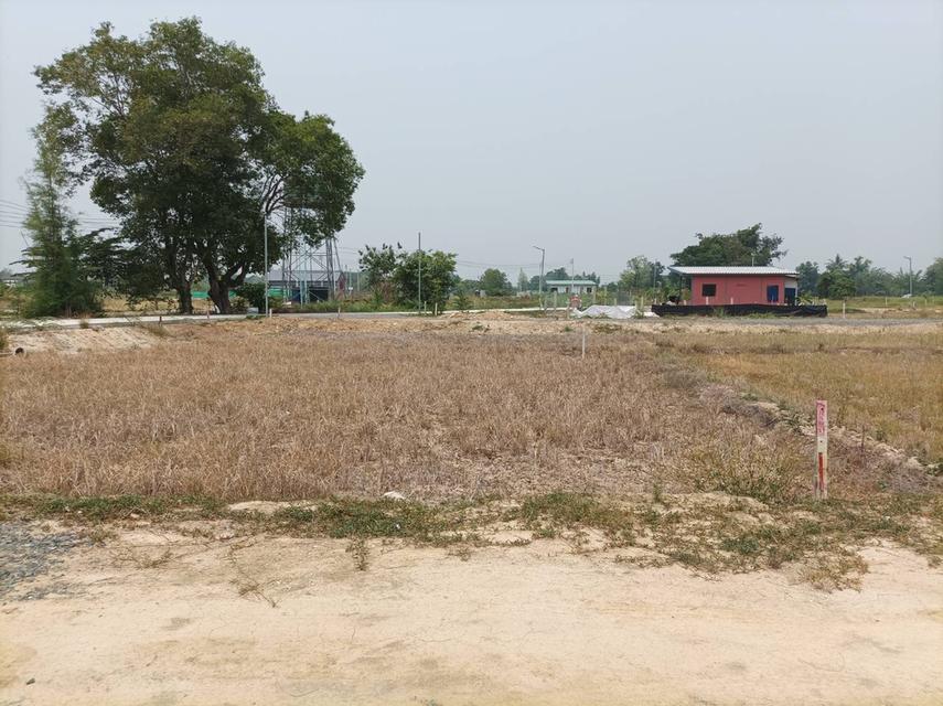 ขายที่ดิน ราคา4,500บาท/ตร.ว. ต.สง่าบ้าน อ.ดอยสะเก็ด เชียงใหม่ 8