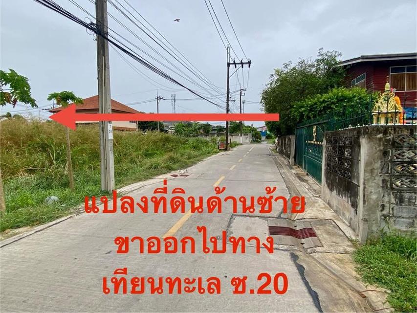 ขายที่ดินสวย 100 ตรว เขต บางขุนเทียน กทม 3