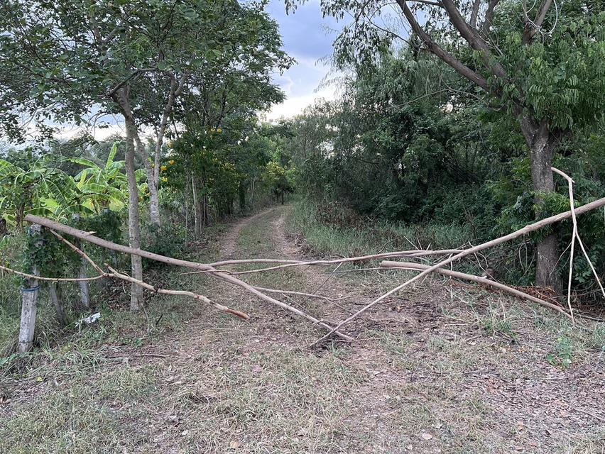 ขายที่ดินสวย 2-2-20 ไร่ ติดแม่น้ำท่าจีน หน้าติดถนนลาดยาง อ.หันคา จ.ชัยนาท 8