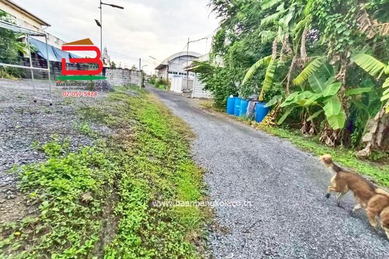 ที่ดินเปล่า ซอยบ้านพักคนชรา (ซอยร่วมสุข 4/19) เนื้อที่ 1-1-82 ไร่ ถนนติวานนท์ ตำบลบ้านใหม่ อำเภอเมืองปทุมธานี จังหวัดปทุมธานี 9