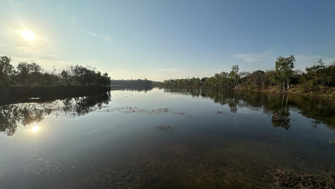 ที่สวยมาก 2ไร่ติดขอบคันอ่างเก็บน้ำลงแม่น้ำมูล ที่ดินหันหน้าหาน้ำ น้ำไฟสะดวก เหมาะทำบ้านสวน รีสอร์ท บ้านหลังเกษียณ หรือทำการเกษตรถนนปูนซ้ายขวาของที่ดิน 8