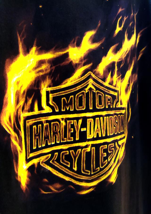 เสื้อยืด ฮาร์เลย์ เดวิดสัน Harley Davidson ตอกปี2010 size L สภาพ8/10 รูปที่ 5