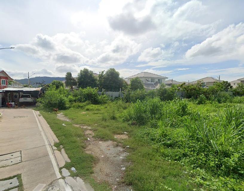 ขายที่ดินเหมือง 1 ไร่ เทศบาลพัฒนา2ซอย16 ใกล้ถนนเลี่ยงเมืองหนองมน-300เมตร เมืองชลบุรี 4