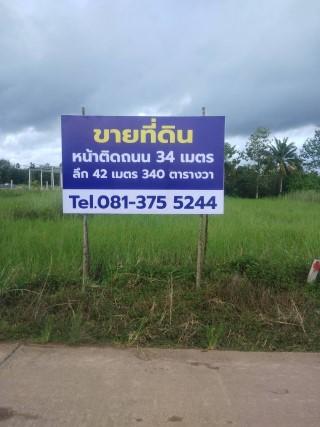 ขาย ที่ดินใกล้หาดแม่พิมพ์ 8 นาที ขนาด 120 และ 340 ตรว. (รวม1ไร่60วา) ก่อนปรับราคา เหมาะทำรีสอร์ต บ้านพัก บ้านจัดสรร ร้านอาหาร 0813755244 1