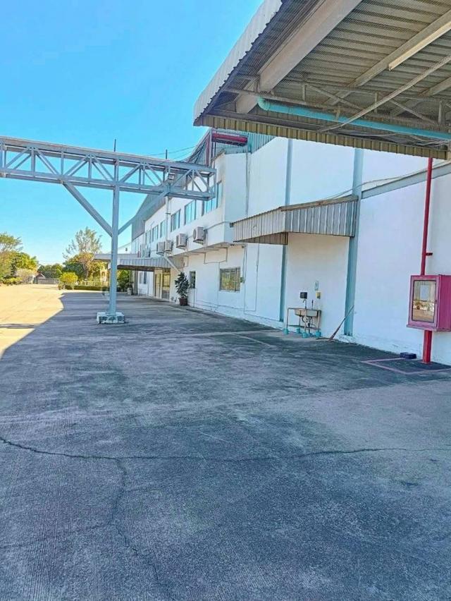 ขาย โรงงาน บ้านบึง ชลบุรี 24 ไร่ 10,000 ตรม. ผังม่วงลาย เริ่มดำเนินกิจการได้ทันที 2