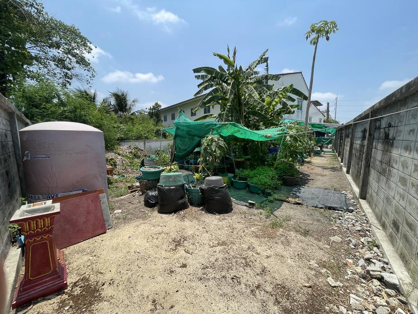 ขายบ้านทาว์นโฮม แปลงพื้นที่ดินบ้านหลังเดียวที่ใหญ่ที่สุดในหมู่บ้าน หลังริมสุด 80.9ตารางวา 3ห้องนอน2ห้องน้ำ ราคาพูดคุยกันได้ พร้อมโอน รูปย่อยที่ 5