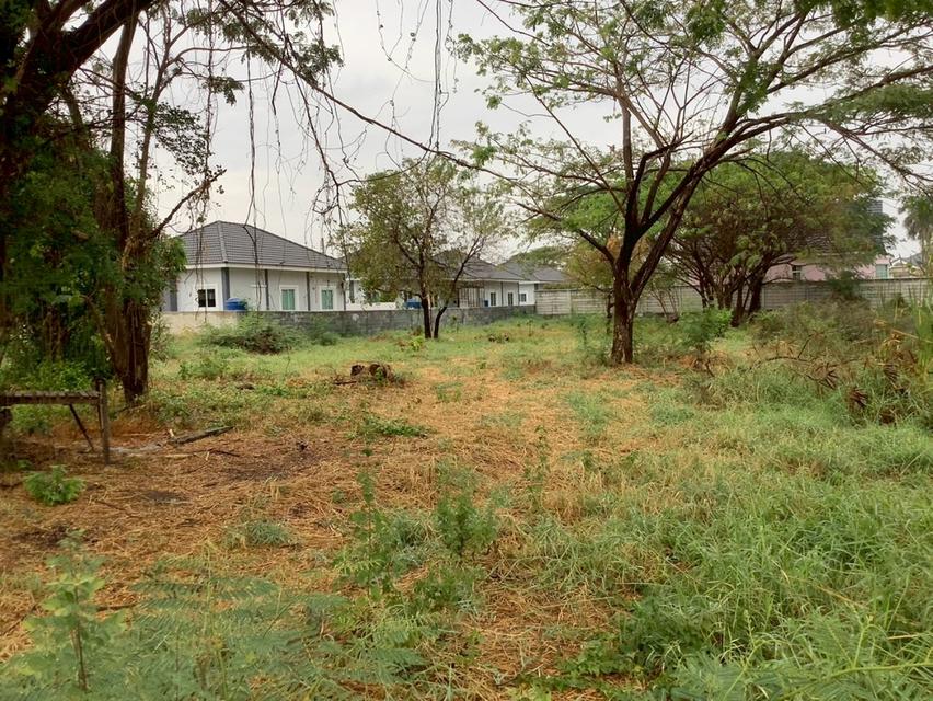 ขายที่ดินในขอนแก่น แถวโนนตุ่น เมืองเก่า ขอนแก่น 1