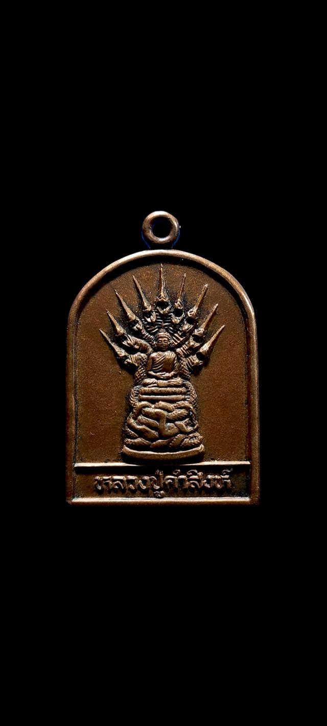เหรียญพระนาคปรก หลวงปู่คำสิงห์