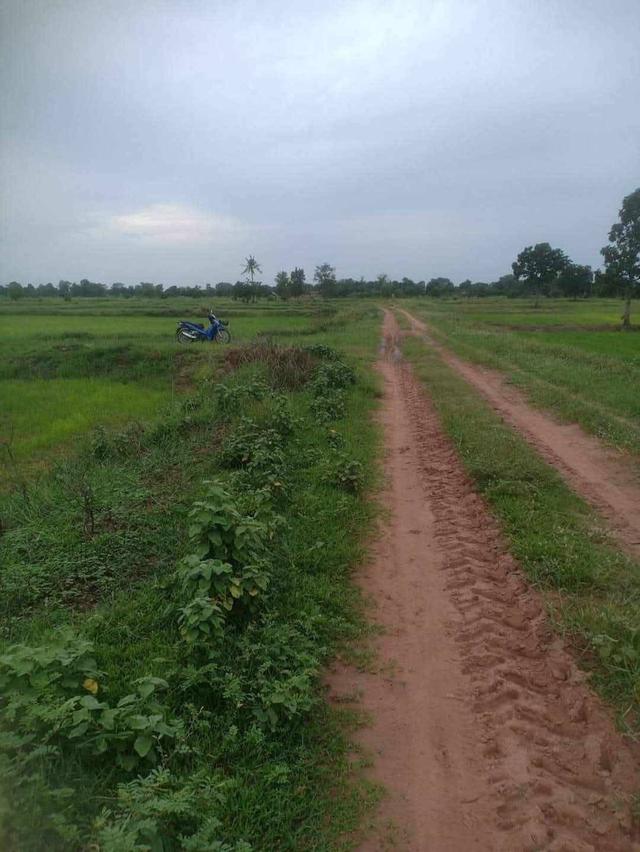 ที่ดินไร่หลักแสนมีอยู่จริงที่ทุกคนต้องรีบจัด 10