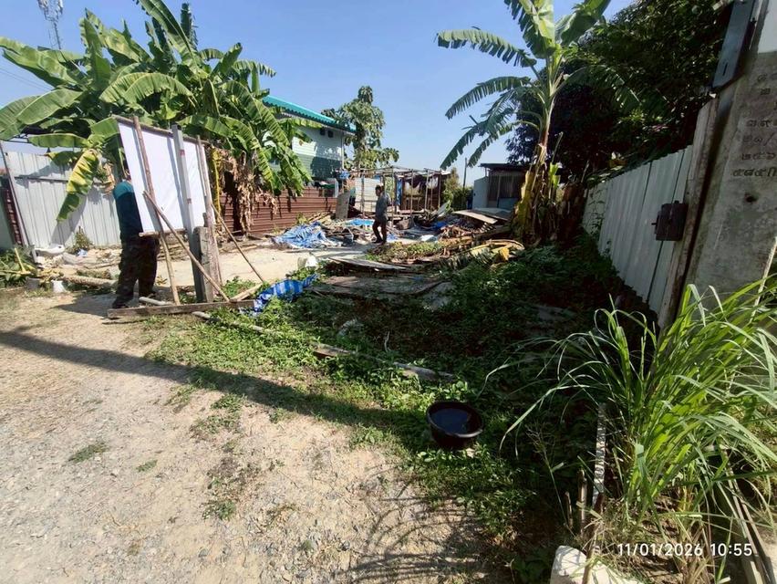 ขายด่วนที่ดิน 63 ตรว ติดถนนสาธารณะ ประชาสำราญ1 แขวงคลองสิบสอง เขตหนองจอก กทม. 2