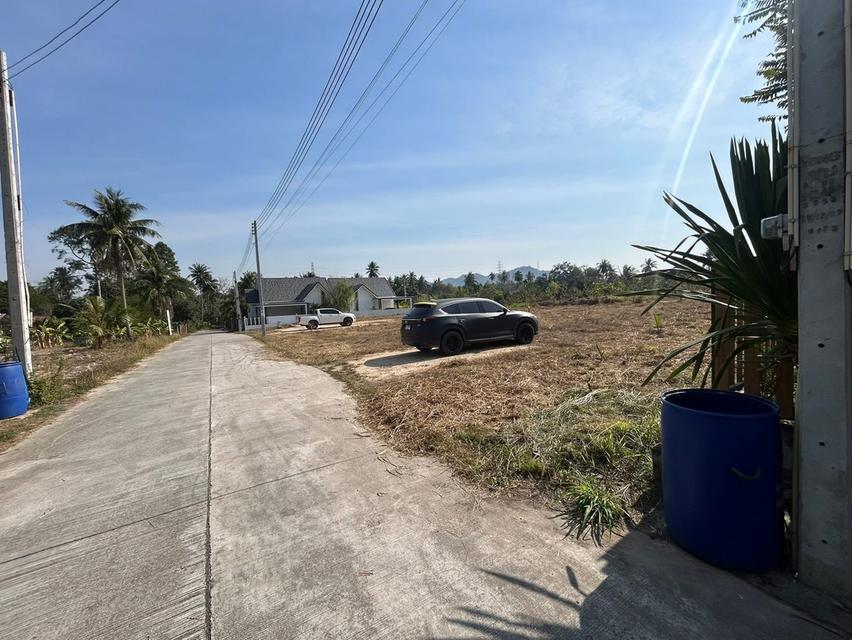 ขายที่ดินโป่ง 200 ตรว. ถมแล้วติดถนนคอนกรีต ใกล้อ่างเก็บน้ำมาบประชัน-5กม. อ.บางละมุง ชลบุรี รูปย่อยที่ 2