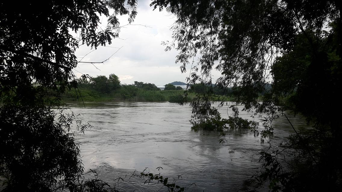 ขายที่ดินติดแม่น้ำป่าสัก 38-1-73 ไร่ แถมที่ดินเป็น น.ค.3 จำนวน 18 -2-59 ไร่