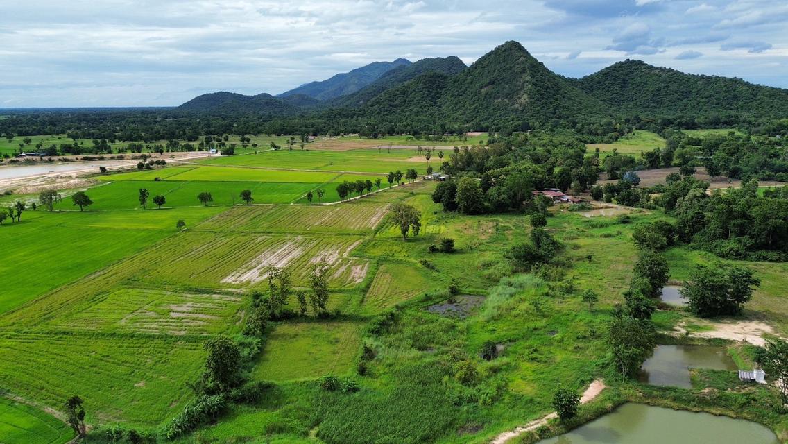 🏞️ ที่ดินบนเขื่อนวังร่มเกล้า 1 ไร่ 320,000 บาท วิวภูเขา เหลือเพียง 6 แปลงสุดท้าย 15