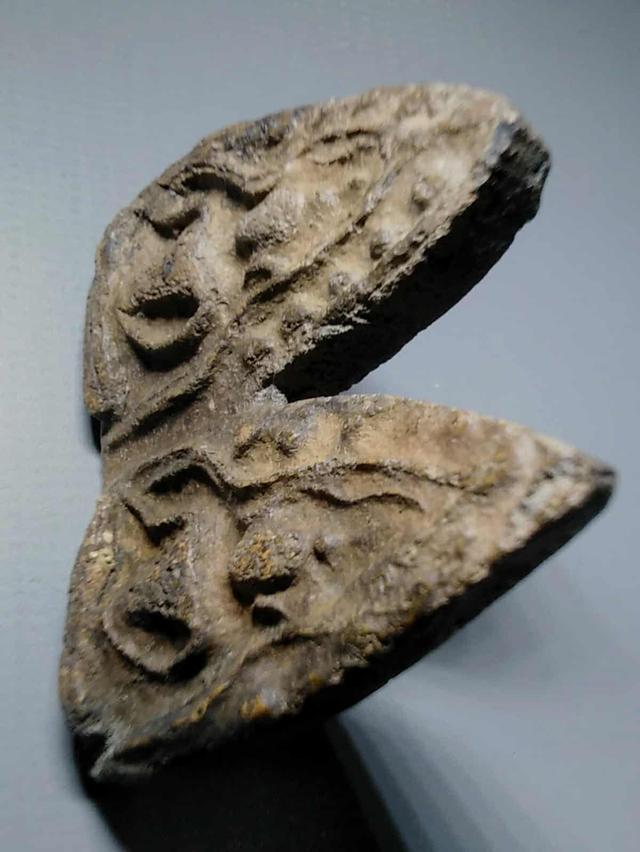 พลายคู่ 3