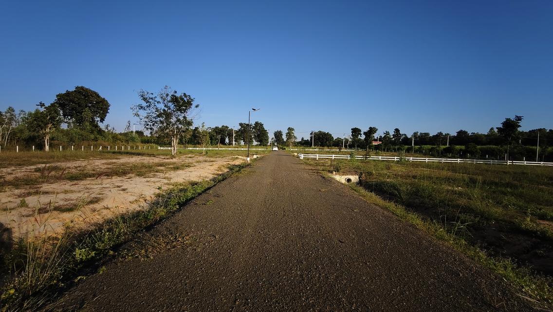 ที่ดิน " วิวภูเขา " อากาศดี ใกล้วังน้ำเขียว ใกล้ทางหลวง 304 วิวภูเขาลอมรอบ ภูหลวง ปักธงชัย นครราชสีมา มีให้เป็นเจ้าของอีก 5 แปลง เท่านั้น 15