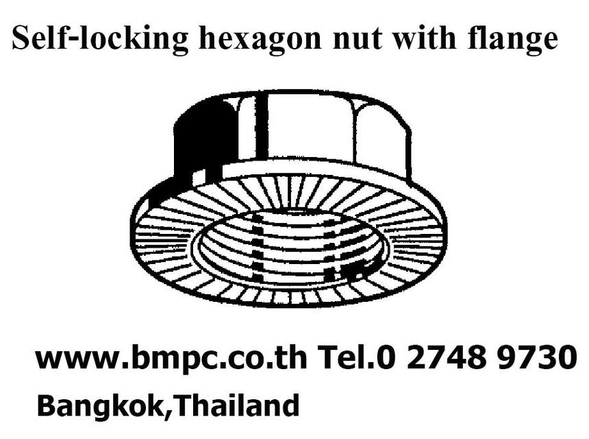 Self lock nut, Prevailing torque nut, Plastic insert nut, Jam lock nut