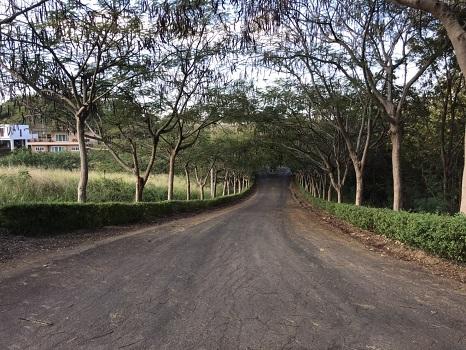 ที่ดินบนเนินวิวภูเขา โครงการ Kaoyai Hideaway 6