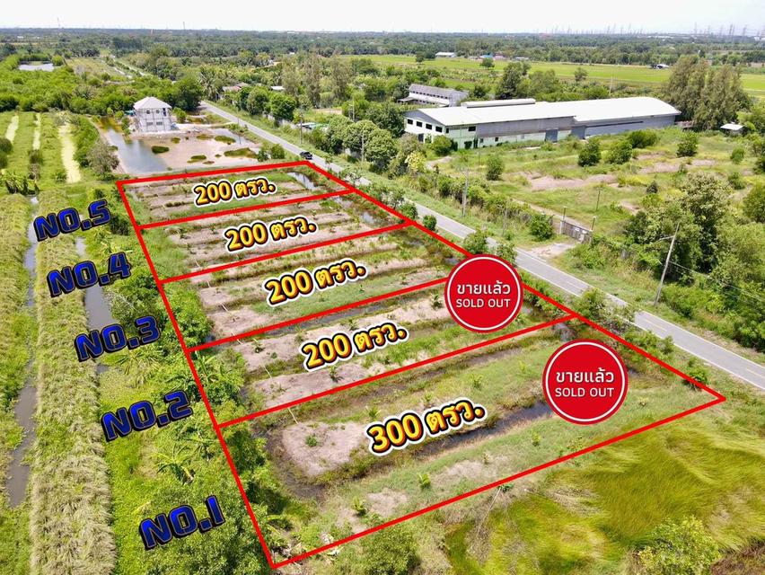 ขายที่ดินบึงชำอ้อ 200 ตรว. คลอง9 ติดถนนลาดยาง อ.หนองเสือ จ.ปทุมธานี 1