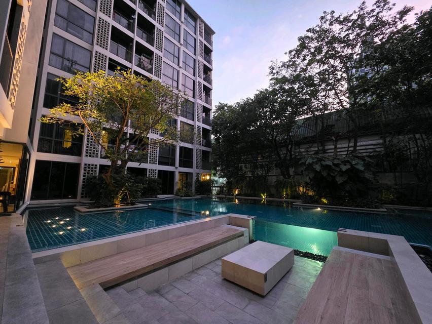 ขาย/ให้เช่า คอนโด Chambers On Nut Station : Pool Access Rare item ห้องเดียวของโครงการ เงียบสงบ BTS อ่อนนุช 300ม. 18