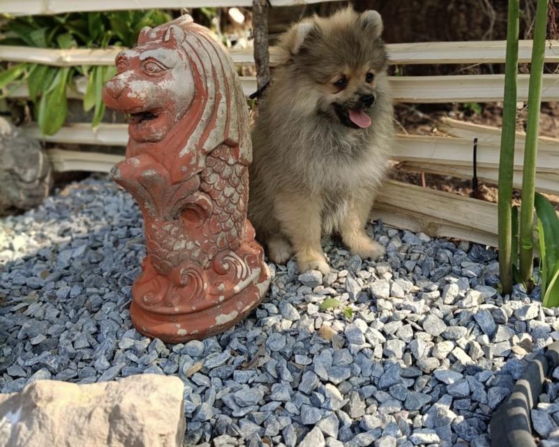 น้องน่ามึน