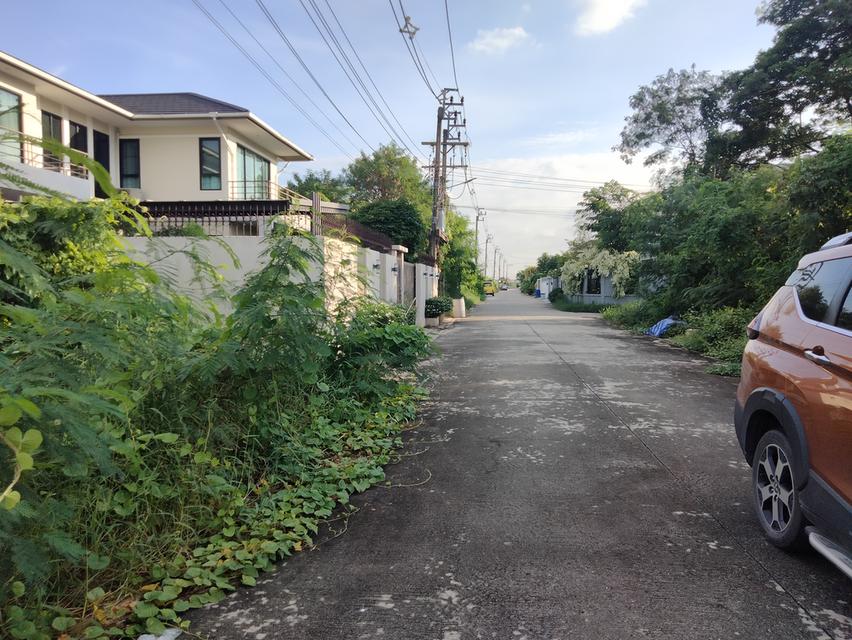 ขายที่ดิน103 ตรว. ซ.ทวีวัฒนา-กาญจนาภิเษก 6/1 (ซอยสิริฉัตร) ถ.พุทธมณฑลสาย2 กทม. 44,000บาท/ตรว. 3