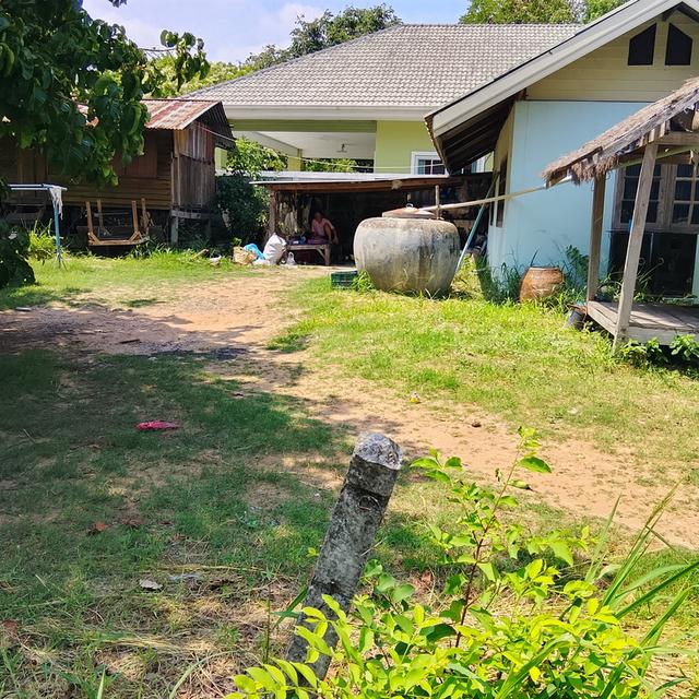 ที่ดิน 200ตรว. อ.เมือง จ.นครราชสีมา 5