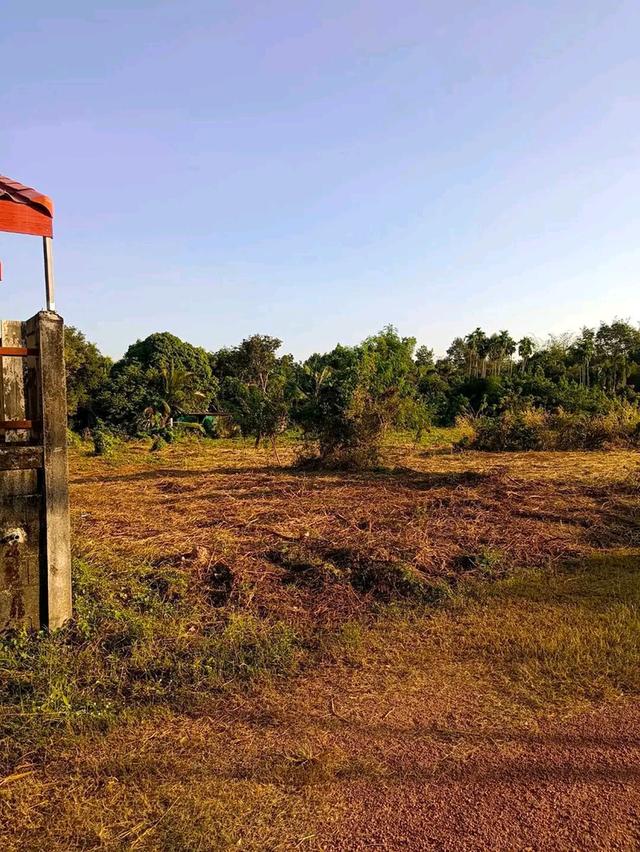 ที่ดินเปล่าถมแล้วบางส่วน 3