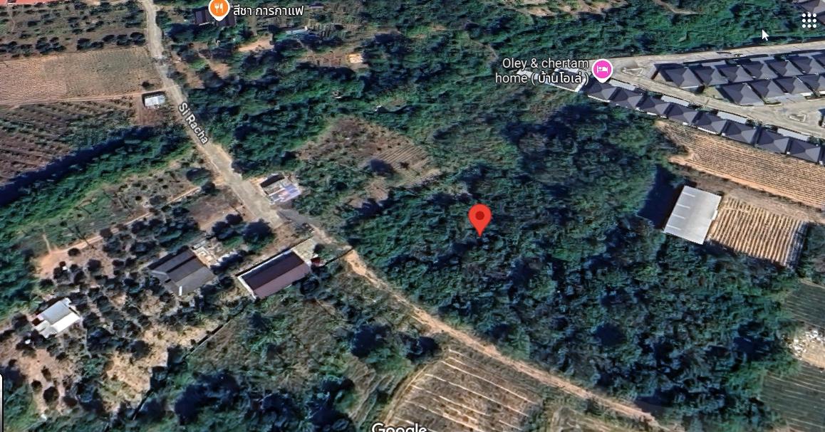 ขายที่ดินเปล่า 7-1-78.8 ไร่ ต.หนองขาม อ.ศรีราชา ชลบุรี ผังสีเหลือง อยู่ใกล้สวนเสือศรีราชา 5