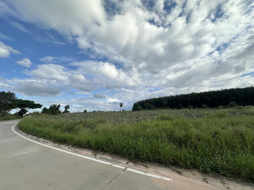 ที่ดินใกล้นิคมอีสเทิร์นซีบอร์ด ชลบุรี-บ่อวิน 1