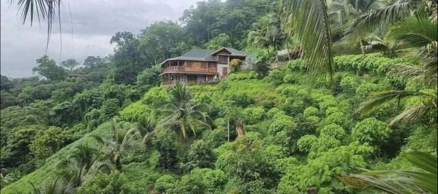 ขายหรือให้เช่า บ้านพักตากอากาศ 2 ชั้น หางดง เชียงใหม่ 18 ไร่ วิวดอยสุเทพ พร้อมสวนผลไม้ผสมผสาน 3