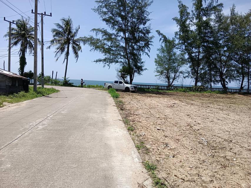 ขายด่วน ที่ดิน ติดทะเล เดินลงหาดได้เลย ตำบลธงชัย ประจวบคีรีขันธ์  1