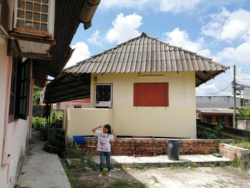 ขายด่วน หอพัก + บ้านเช่า 2 หลัง ใจกลางเมืองภูเก็ต 7