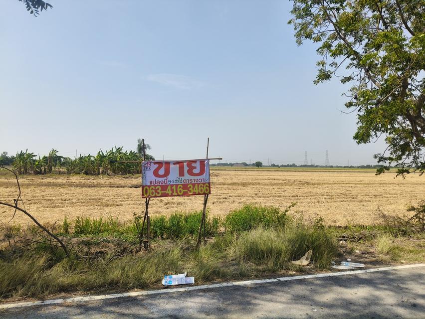 ที่ดินเปล่าติดถนน 9 ไร่อยุธยา 1
