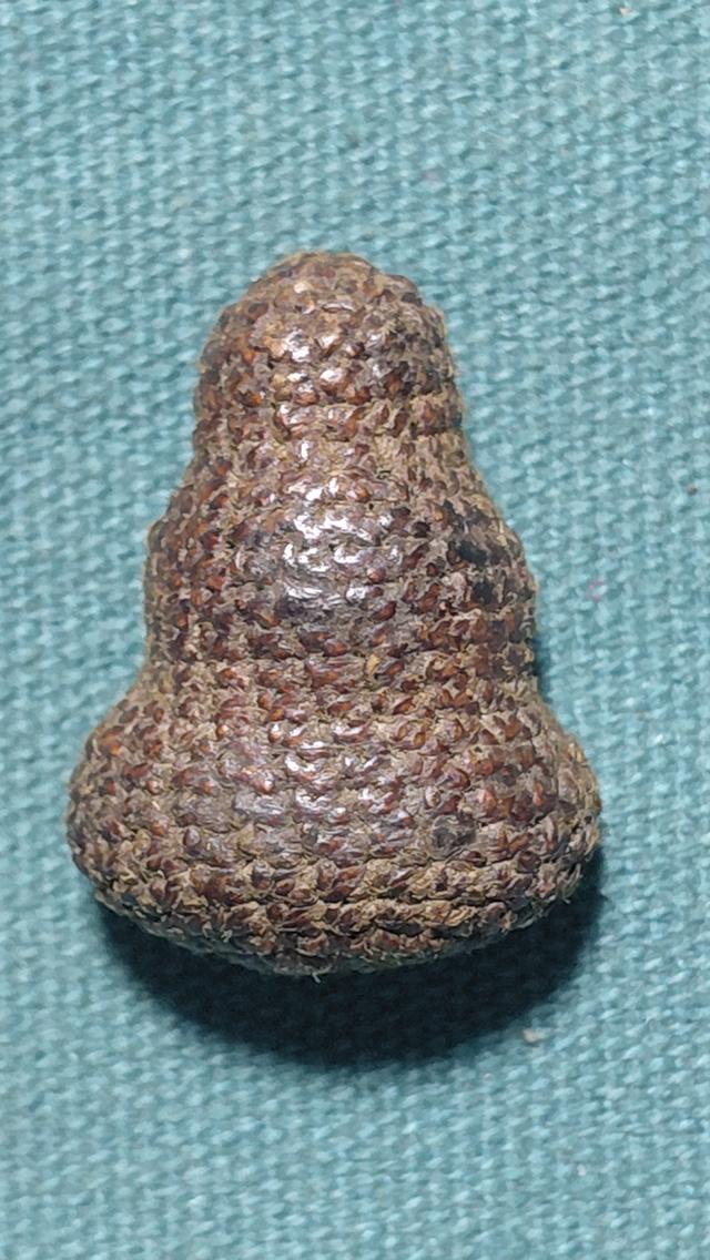 พระปิดตา หลวงปู่เอี่ยมถักเชือก รูปที่ 2