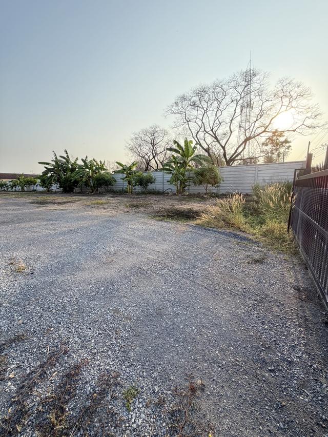 ที่ดินคลอง3 คลองหลวง ปทุมธานี 2