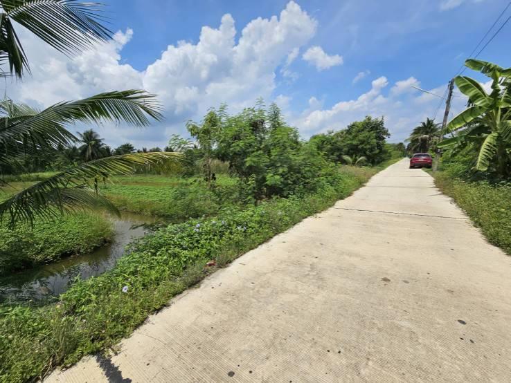 ขายที่ดินเปล่า แปลงสวย ซอยโรงช้อน หนองเสือ ปทุมธานี 2
