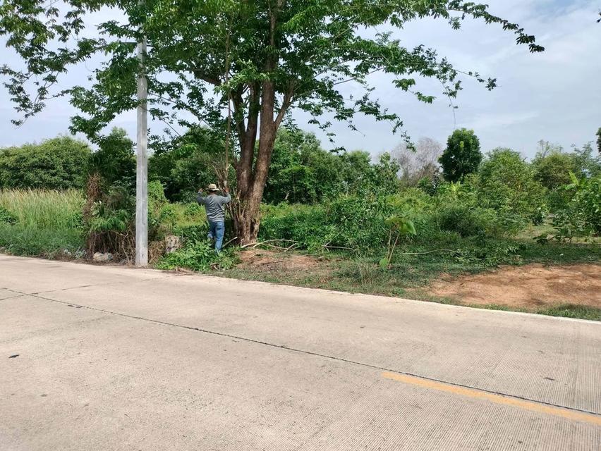 ขายด่วนที่ดินใกล้วัดสโมสร 100 ตรว ติดถนนสาธารณะ ถมแล้ว บึงบอน7 หนองเสือ ปทุมธานี 2