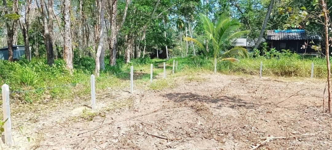 Land on Koh yao yai near the beach for sale 3