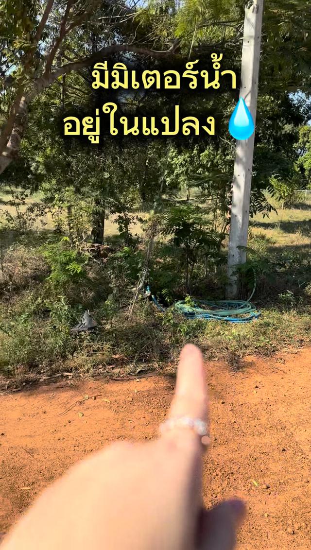 ให้เช่า ที่ดิน 1 ไร่ ต.รางสาลี่ อ.ท่าม่วง จ.กาญจนบุรี แปลงหัวมุม 3