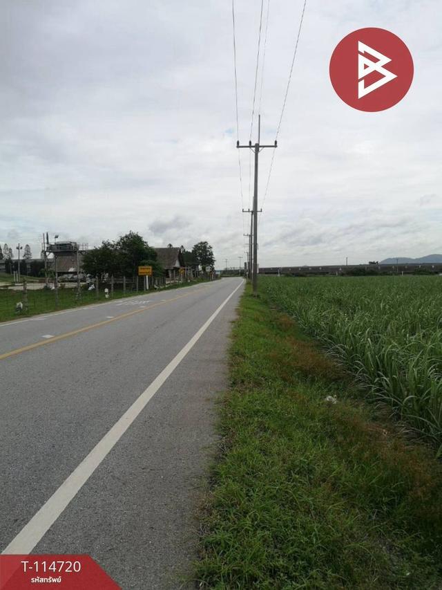 ขายที่ดิน โครงการฯ เนื้อที่ 21 ไร่ 5.0 ตร.วา อ.บ้านบึง ชลบุรี 2