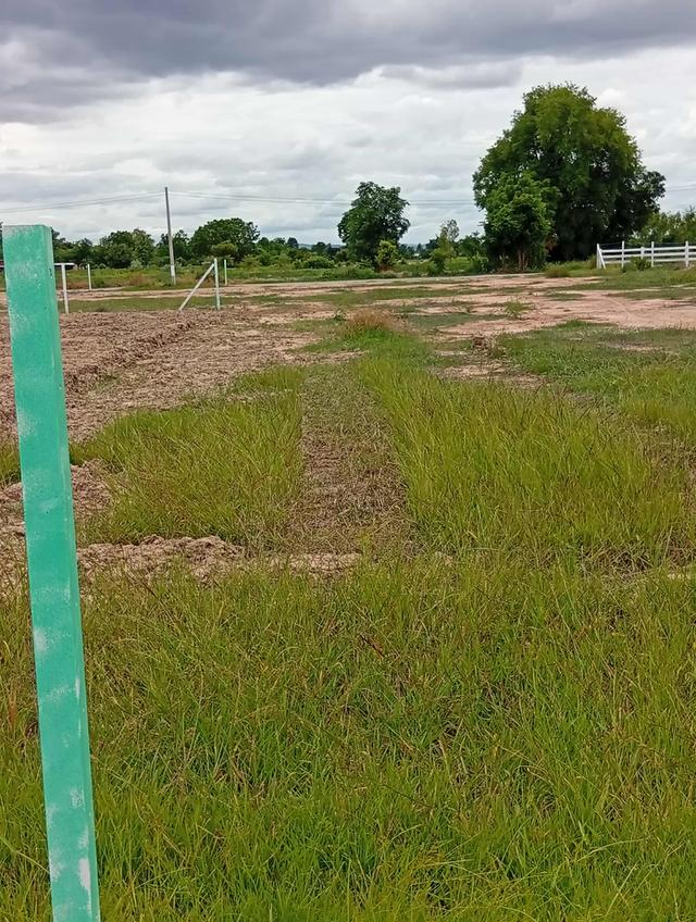 ที่ดินทำเลทอง วิวธรรมชาติ อ.ลำขวัญ จ.กาญจนบุรี และยังติด จ.สุพรรณบุรี 3