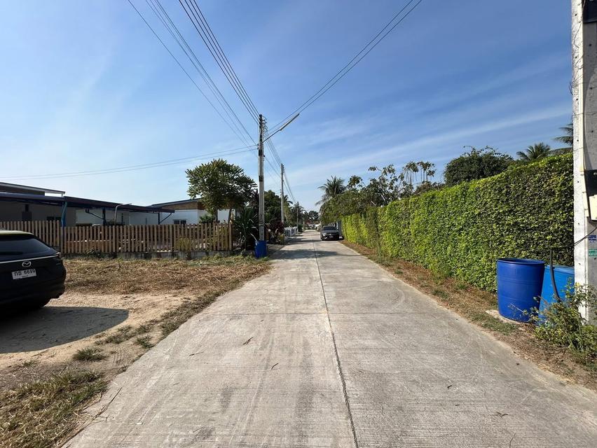 ขายที่ดินโป่ง 200 ตรว. ถมแล้วติดถนนคอนกรีต ใกล้อ่างเก็บน้ำมาบประชัน-5กม. อ.บางละมุง ชลบุรี