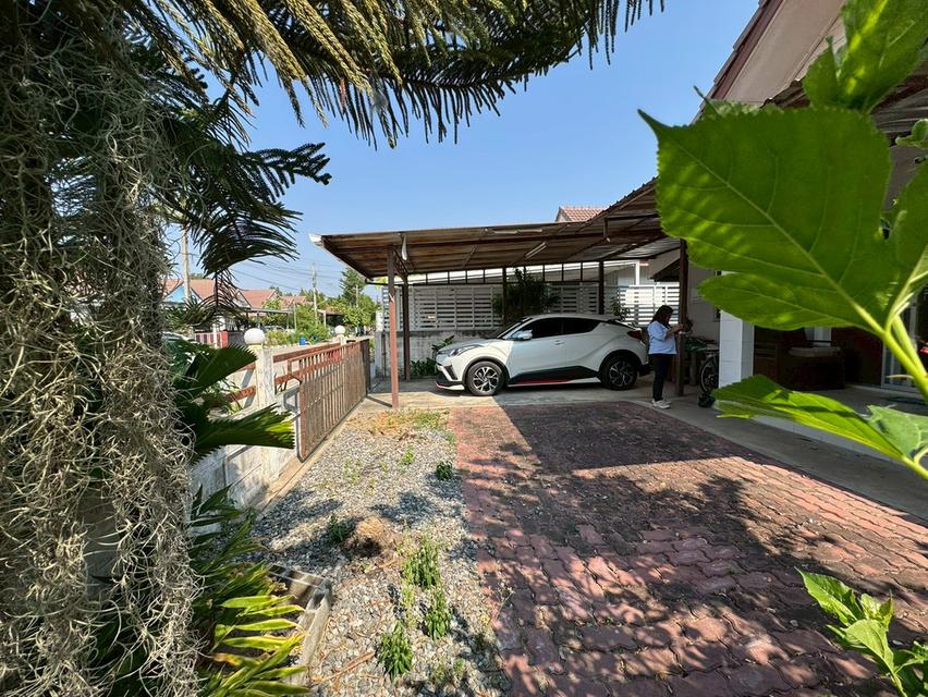 ขายบ้านเดี่ยว หนองจอก **ราคาพิเศษ บ้านร่มรื่นน่าอยู่** (N.2072) 7