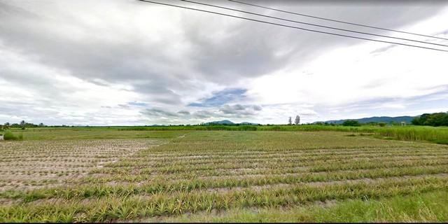 ขายที่ดินบ้านบึงชลบุรี ด่วน! ขายที่ดินชลบุรี 106-1-35 ไร่ หนองชาก-บ้านบึง ใกล้ถนน 331 พื้นที่สีเหลือง 3