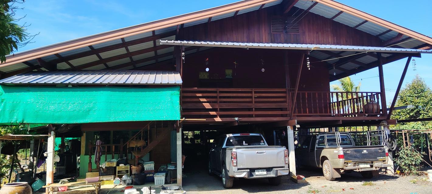 ที่ดินพร้อมบ้านอำเภอเมืองปราจีนบุรี 11