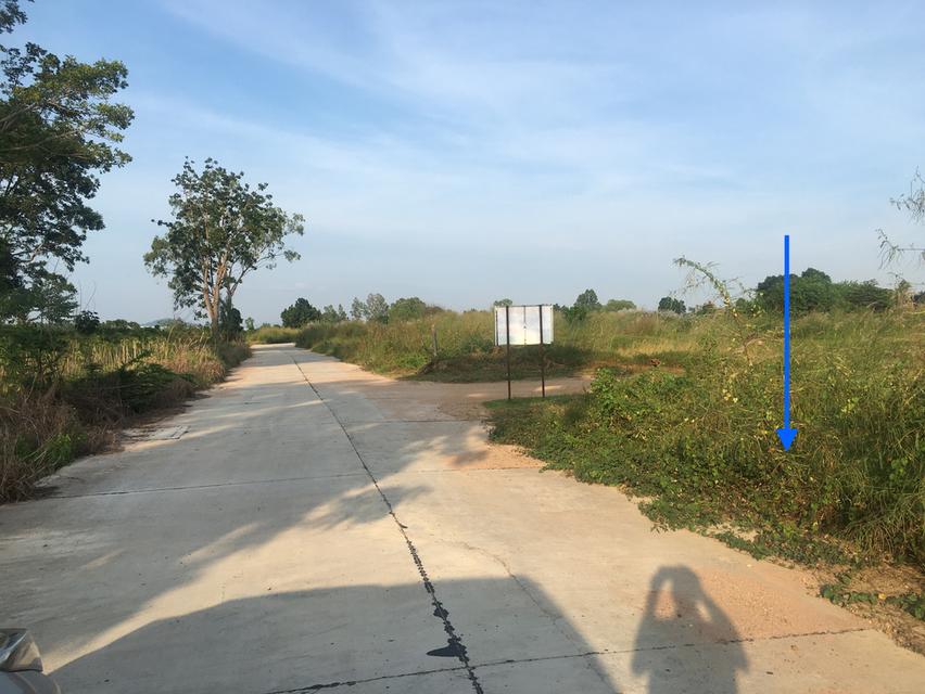 ขายที่ดินผังเมือง EEC เนื้อที่ 12.5ไร่ ติดถนน 85เมตร ลึก 300เมตร ตำบลบึง ศรีราชา ชลบุรี ใกล้นิคมปิ่นทอง ใกล้ตลาดบึงวรกิจ ใกล้ ทล.3009 3