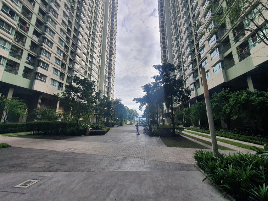 คอนโด LPN PARK RIVERSIDE RAMA 3 คอนโดริมแม่น้ำเจ้าพระยา ทำเลดีสุดย่านพระราม 3 ตึก C 5