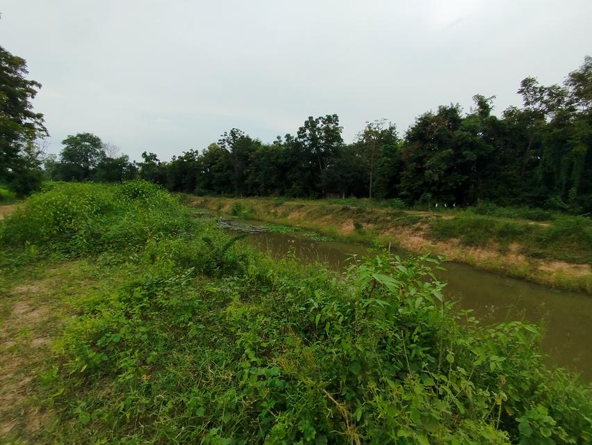 ที่ดิน 1 ไร่ 2 งาน อยู่ห่างจากถนนหน้าค่ายบุรฉัตร จ.ราชบุรีเพียง 500 ม. ขาย 2,700,000 3