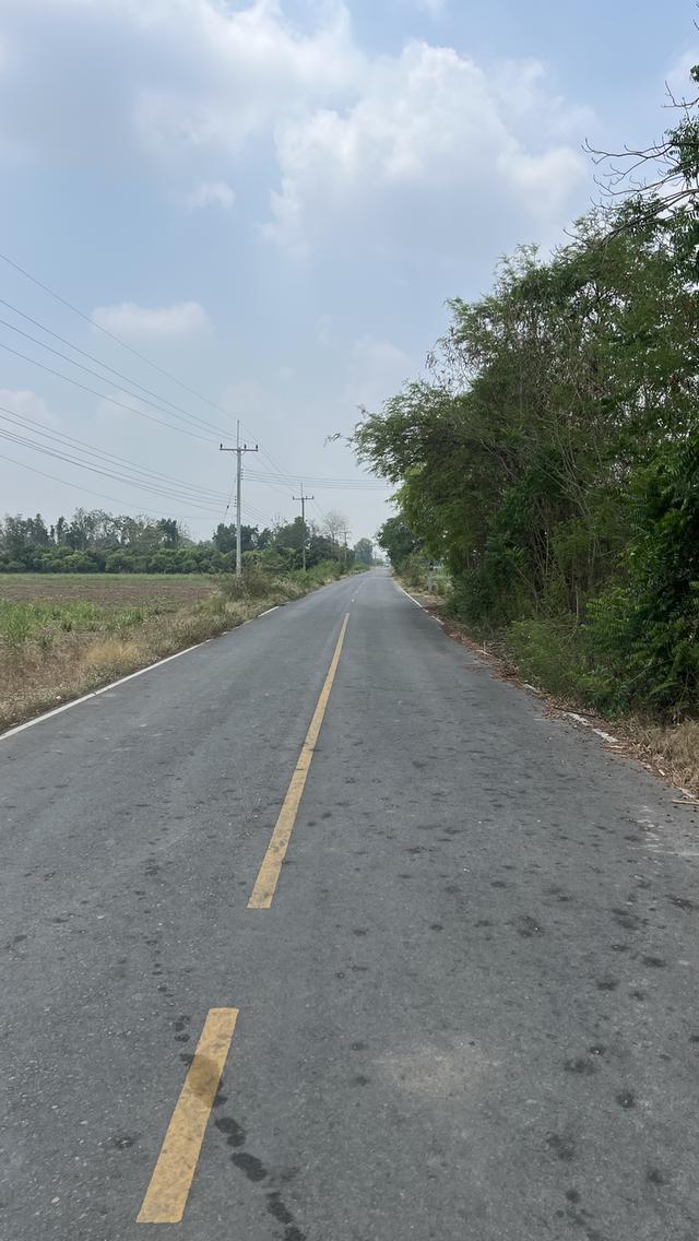ที่ดิน ขนาด 37 ไร่ 2 งาน อำเภอศศรีนคร จังหวัดสุโขทัย 2